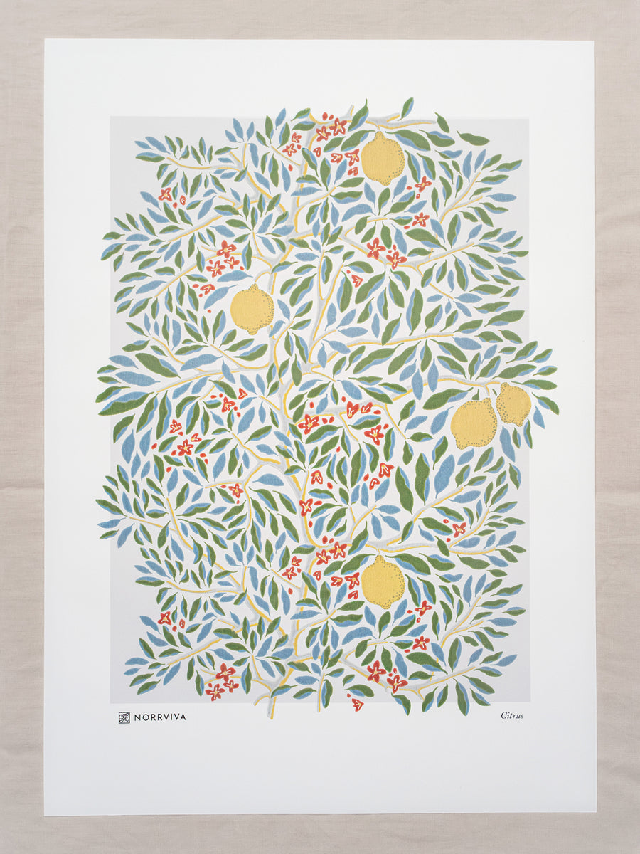 Norrviva Citrus Vibrant Bloom Art Print