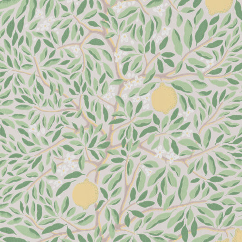 Citrus Ashy Greenery wallpaper sample – A4 swatch by Norrviva