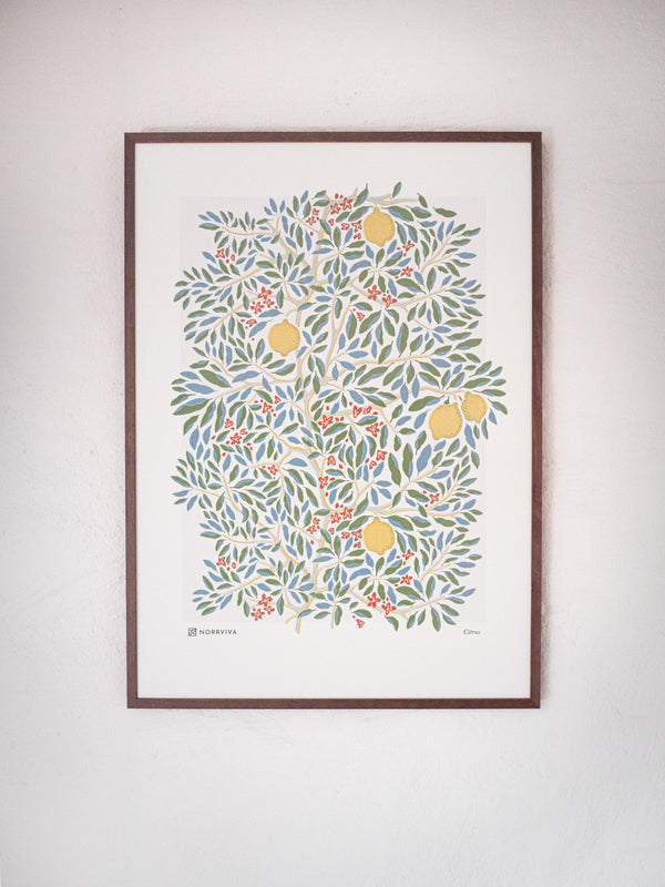 Citrus Vibrant Bloom Art Print